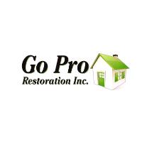 Go Pro Restoration Inc image 1